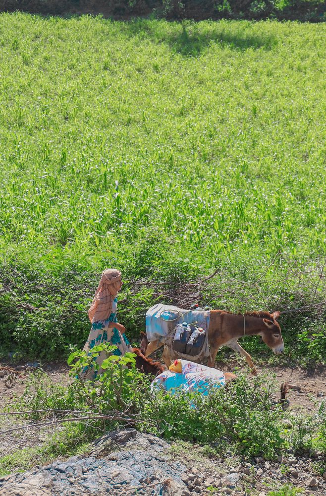 Photograph by عامر الصبري Amer Alsabri