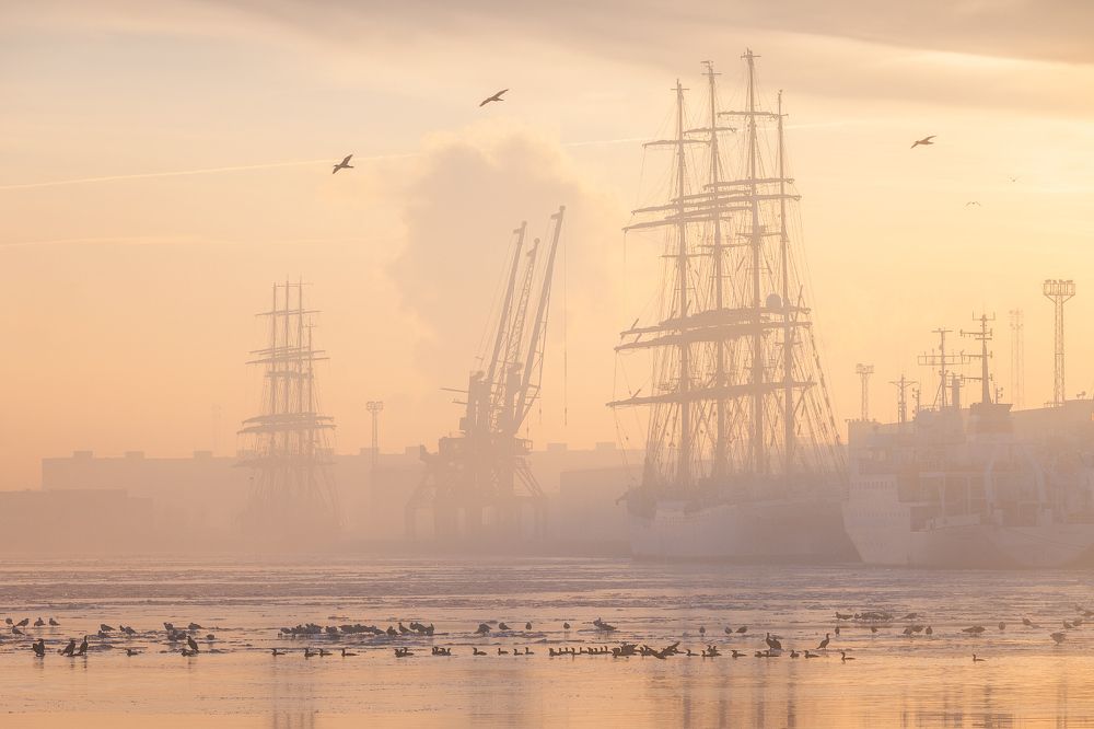 Photograph by Валерий Притченко