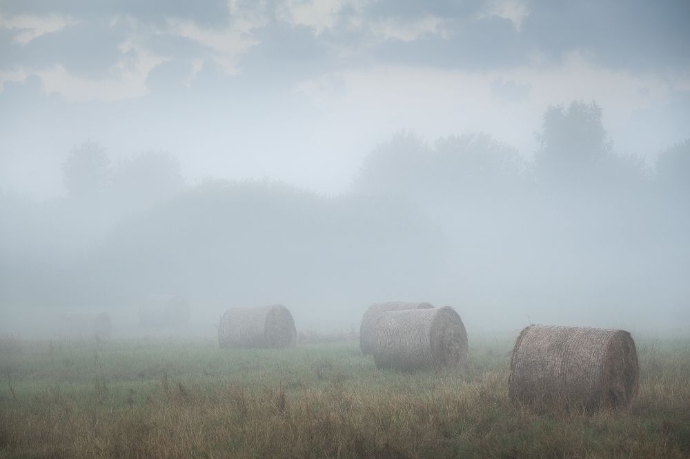 Photograph by Валерий Притченко