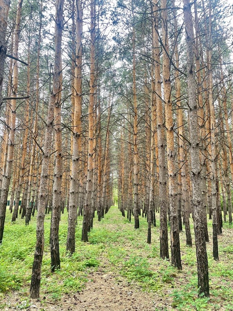 Фотография автора Nadezhda