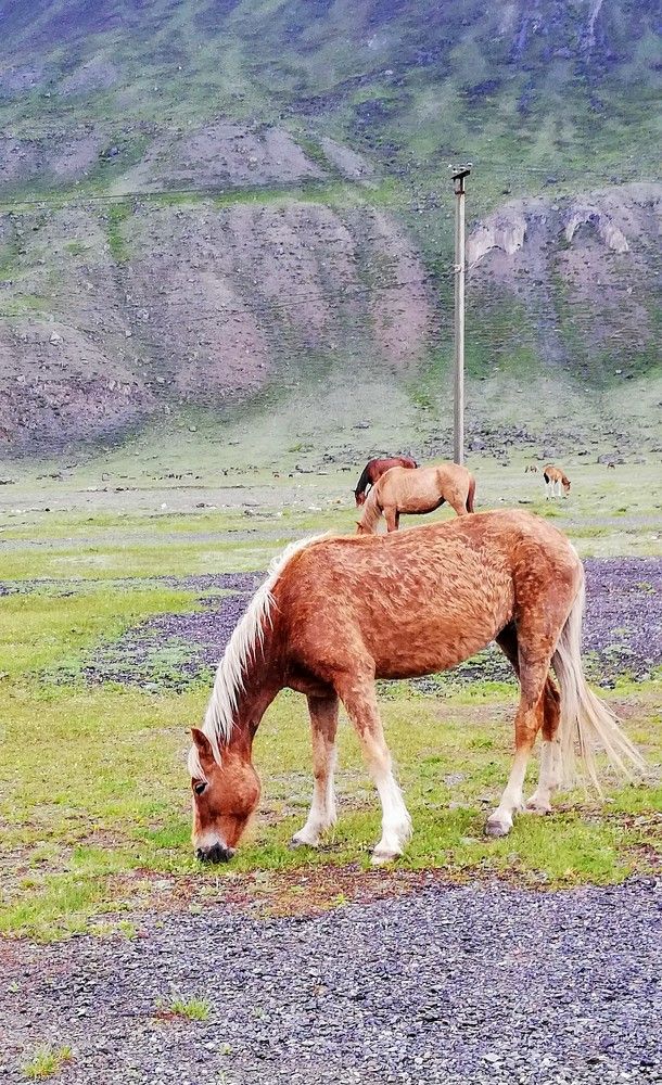 Photograph by Лариса Неудачина