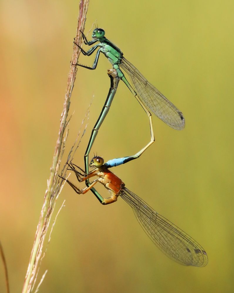 Photograph by Frank cobo blanco