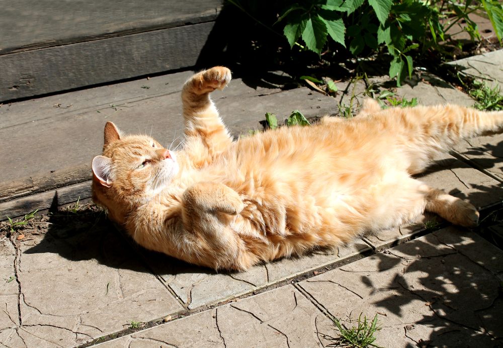 Photograph by Юлия Сахарова