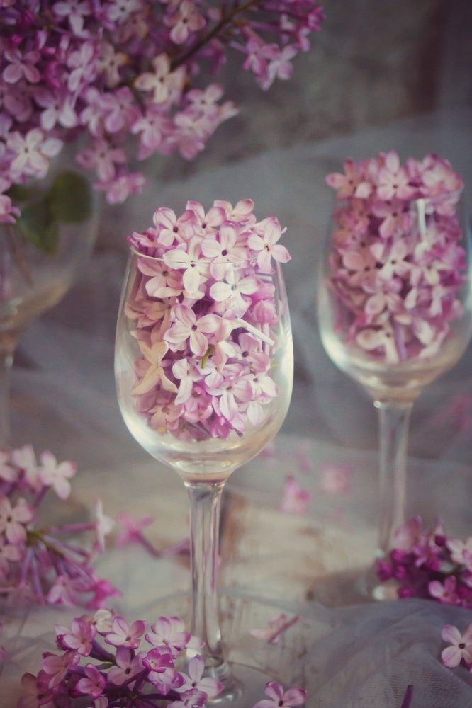 Фотография автора НАТАЛЬЯ СЕВЕР