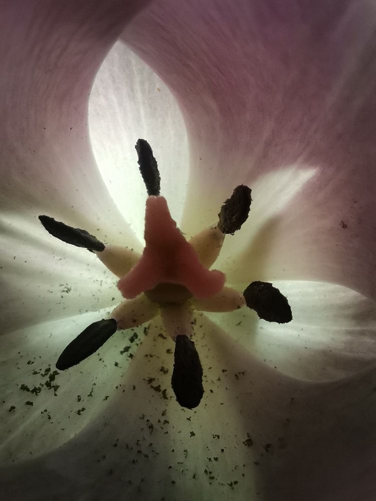Photograph by Ирина Садовникова
