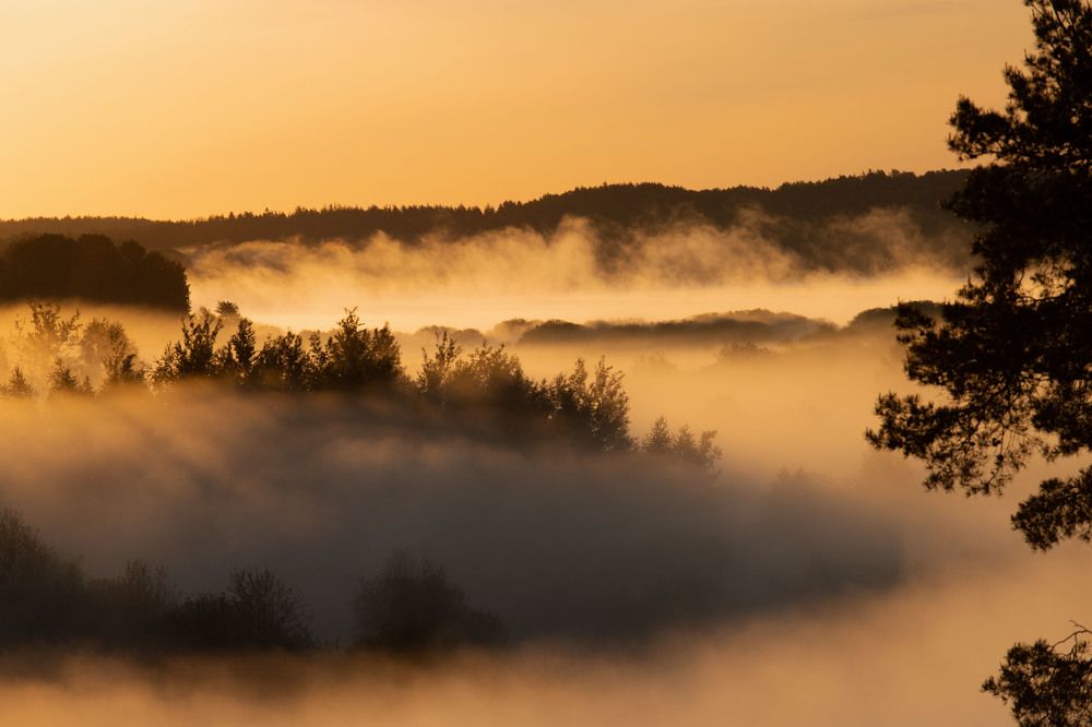 Photograph by Оксана Соколова