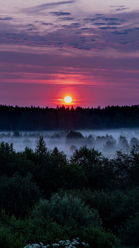 Photograph by Алексей Корсаков