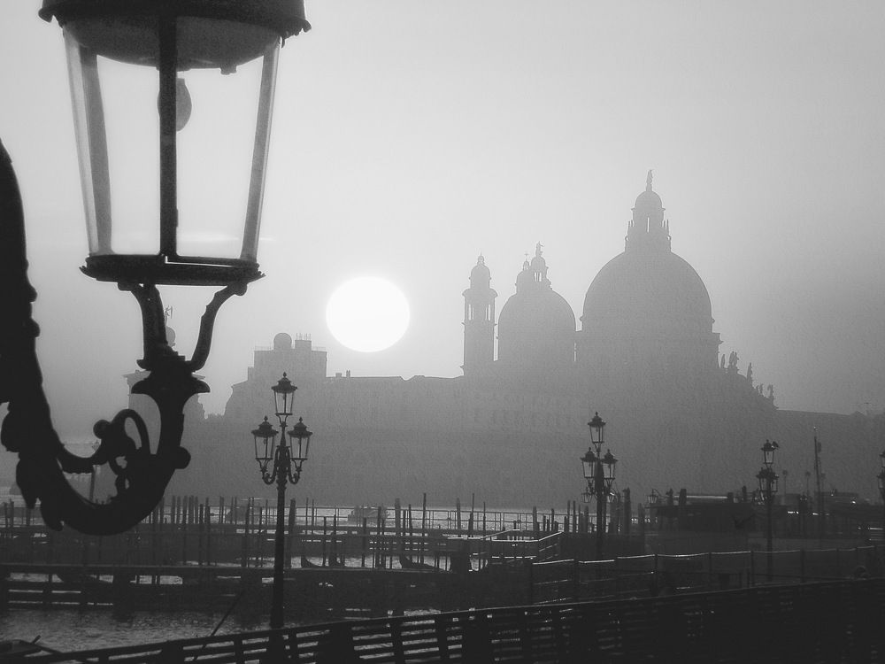 Photograph by Alice White