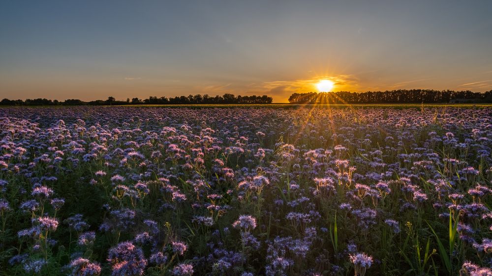 Photograph by Сергей Степанов