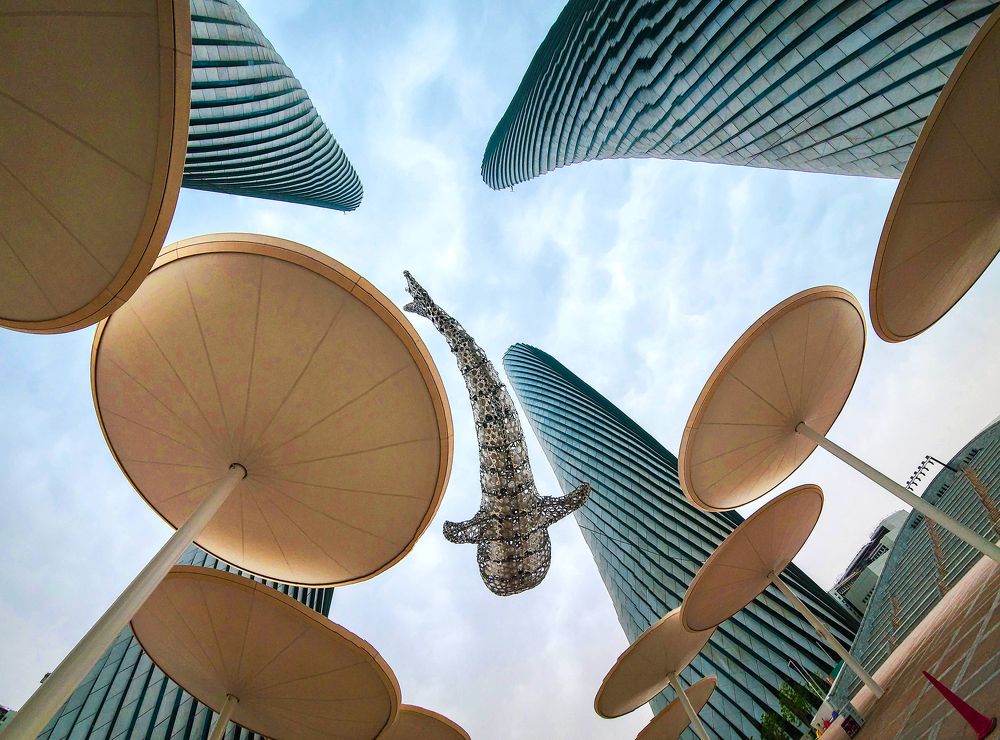 Photograph by Mohammad Saad