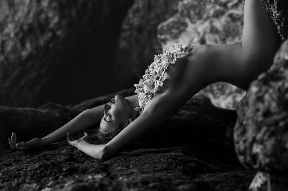 Фотография автора Olga Gubkina