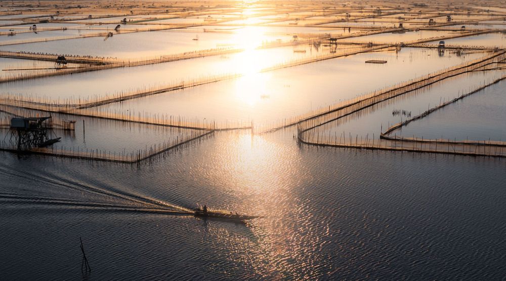 Photograph by Le Hoang Vu