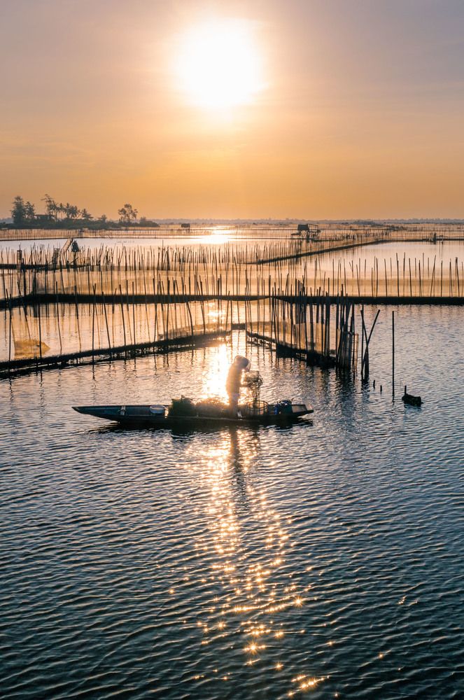 Photograph by Le Hoang Vu