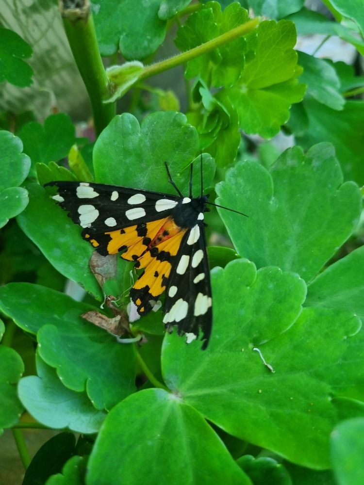 Photograph by Ирина Герлин