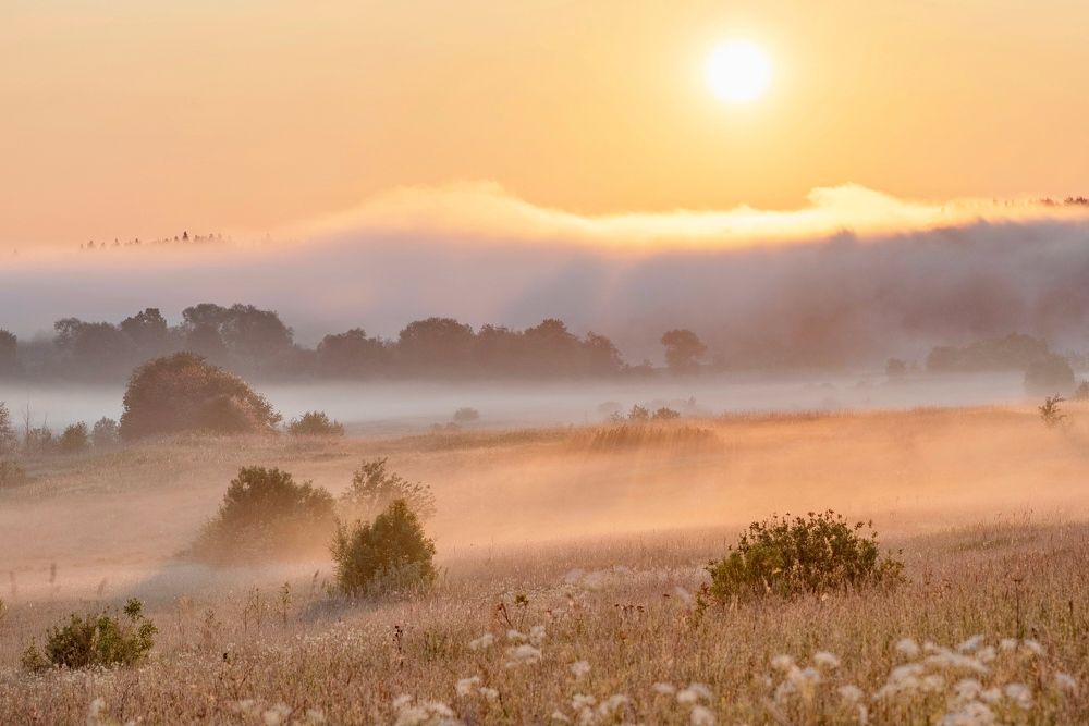 Фотография автора Ольга Белоусова