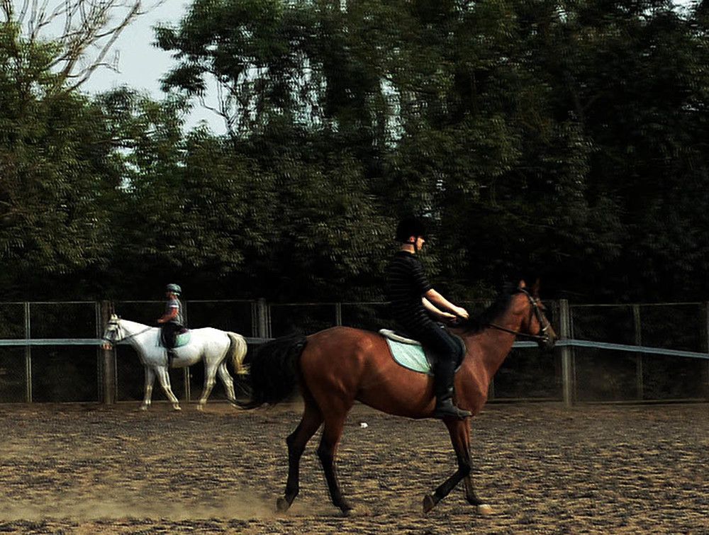 Photograph by Александр Зарх