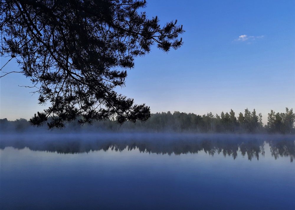 Фотография автора Елена Пикатова