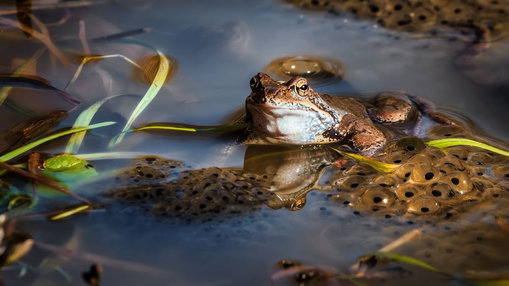Фотография автора Евгений Ерохин