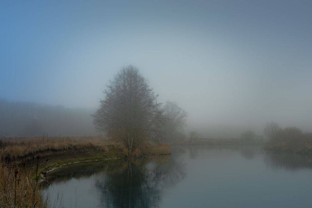 Photograph by Николай Фонарёв