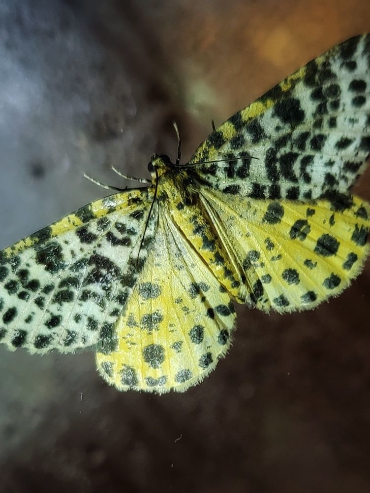 Photograph by Татьяна Гулакова