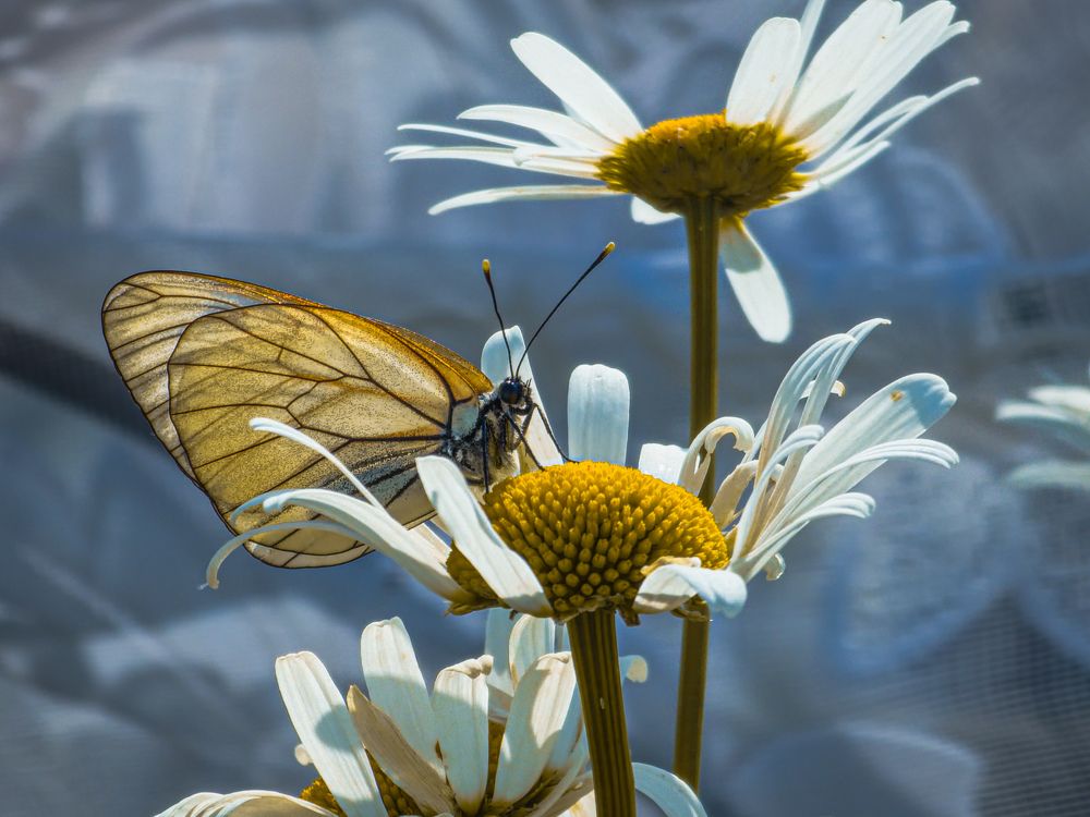 Photograph by Konstantin Martynov