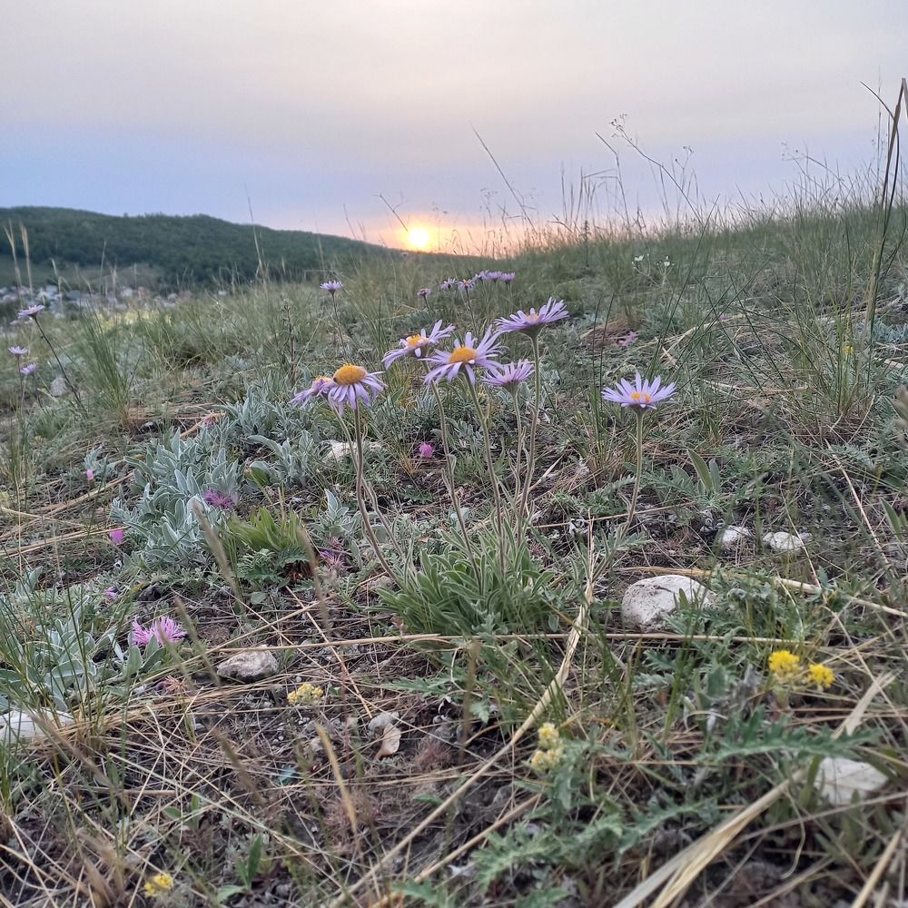 Photograph by Arkhipov