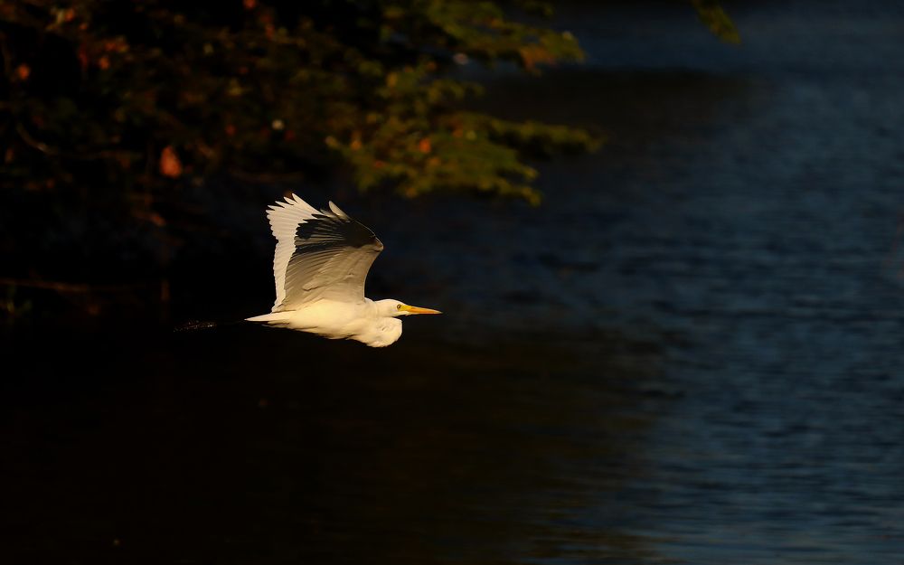 Photograph by Gowtham R