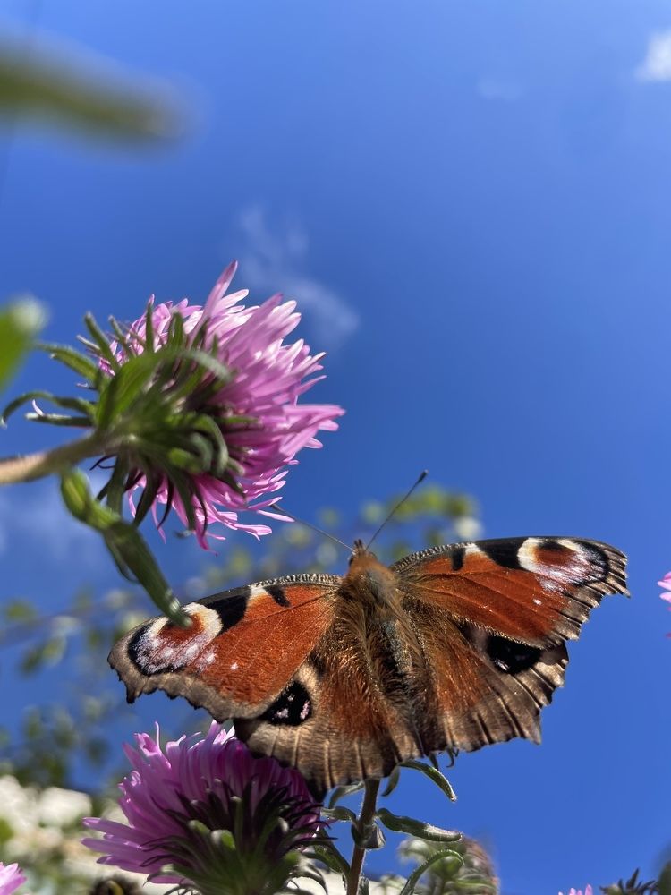 Photograph by Марина