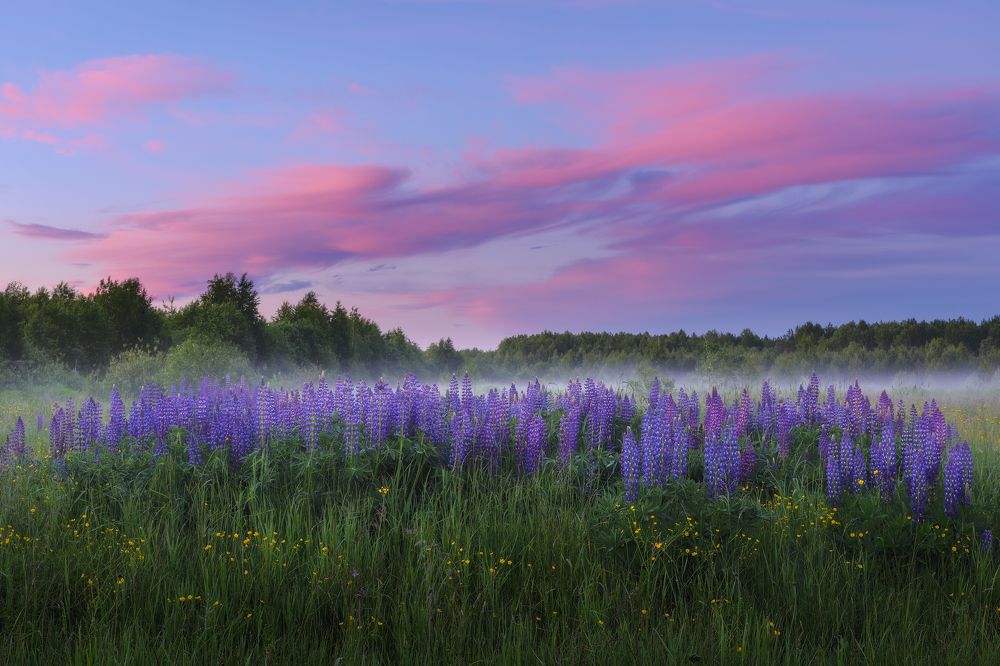 Photograph by Чаланов Иван