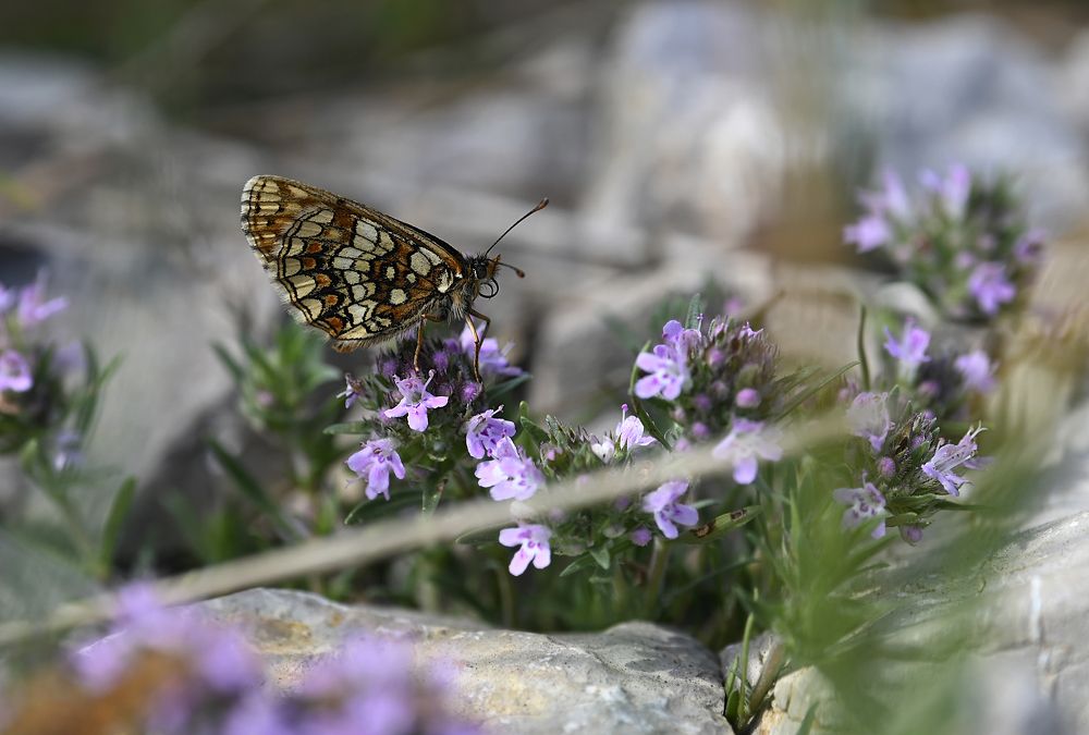Photograph by Виктория Коршун