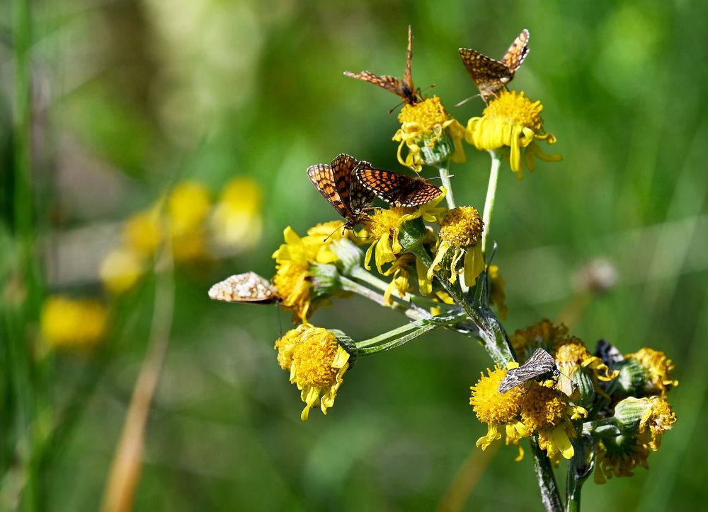 Photograph by Виктория Коршун