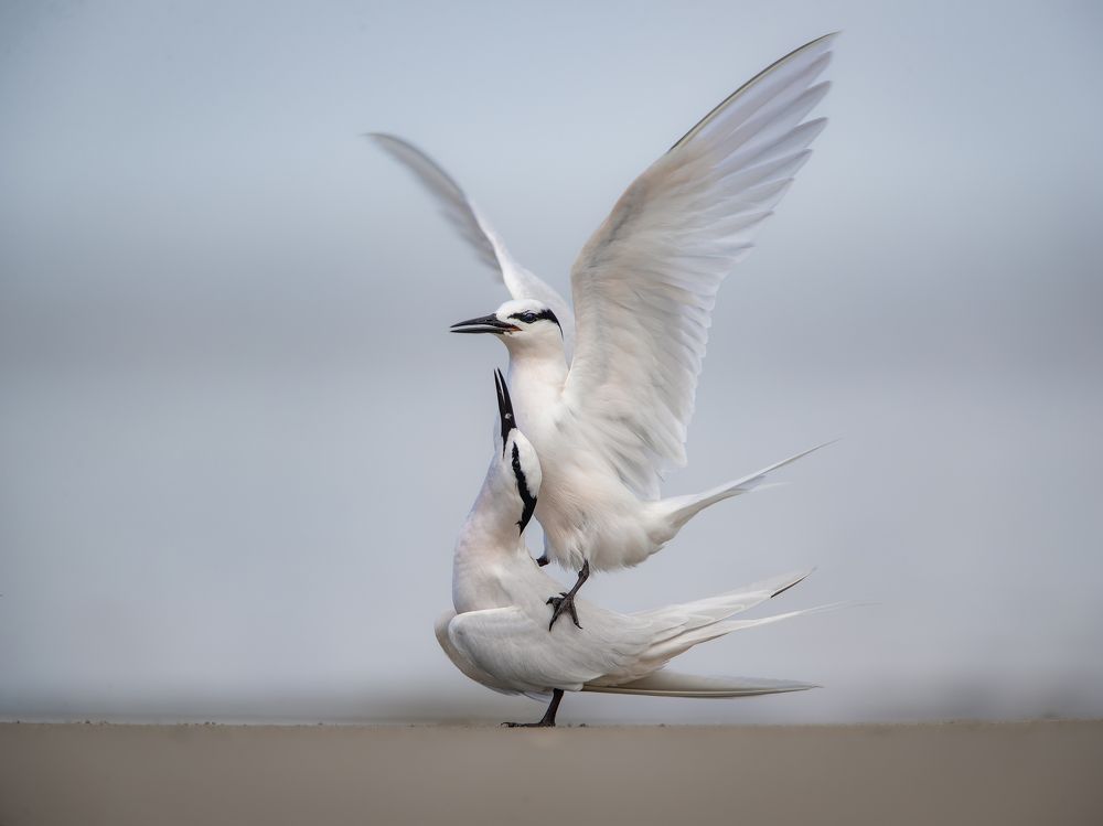 Photograph by Rin Võ