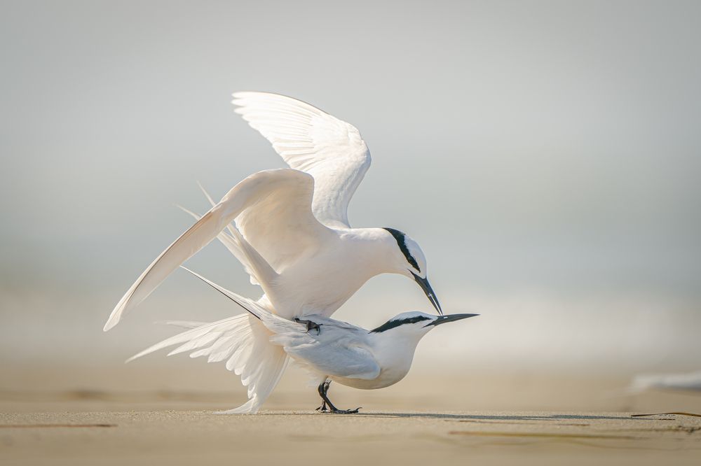 Photograph by Rin Võ