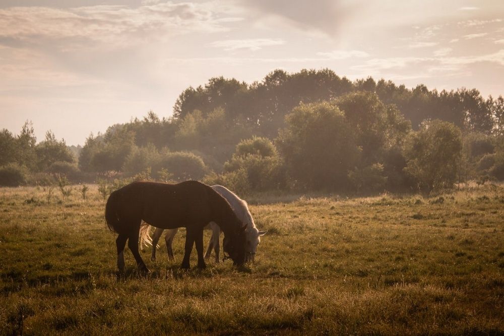 Photograph by Ольга Сергеенко