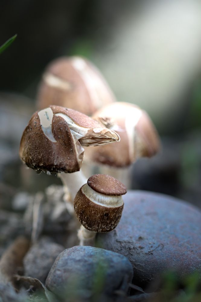 Photograph by Оксана Сафина