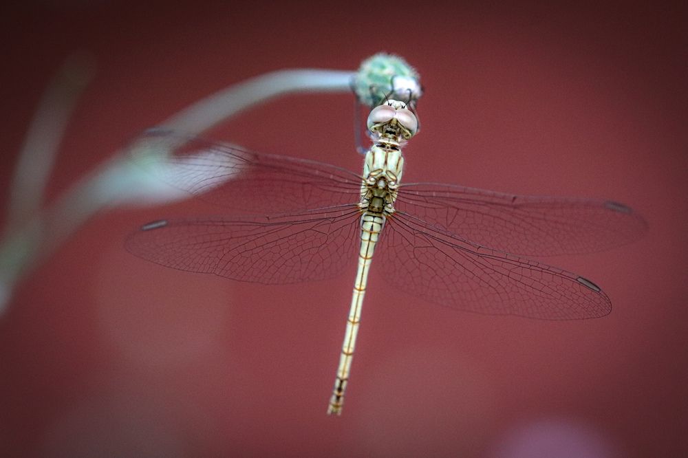 Photograph by Оксана Сафина