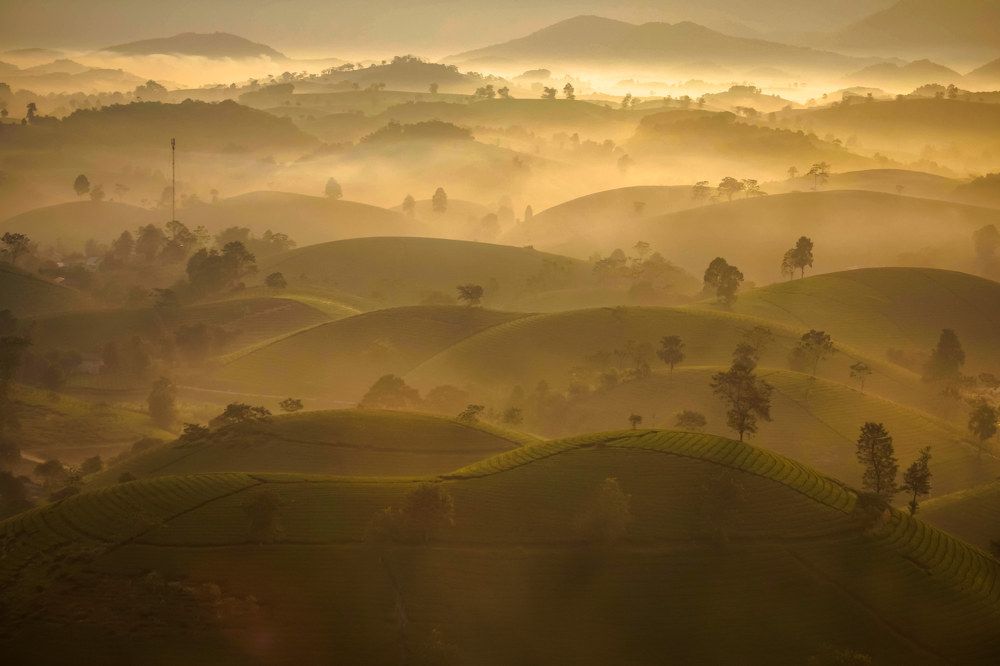 Long Coc one morning dew spread across the mountains and hills