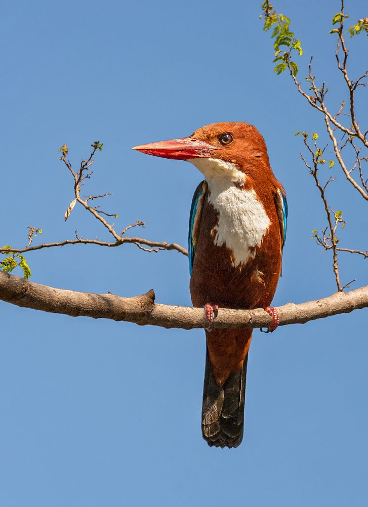 Photograph by Марина Ческис