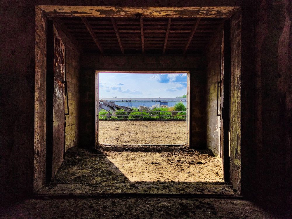 Фотография автора Ирина Гриценко