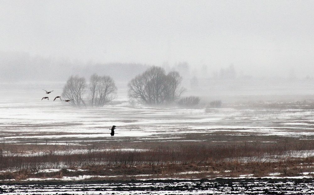 Photograph by Пётр Соколов