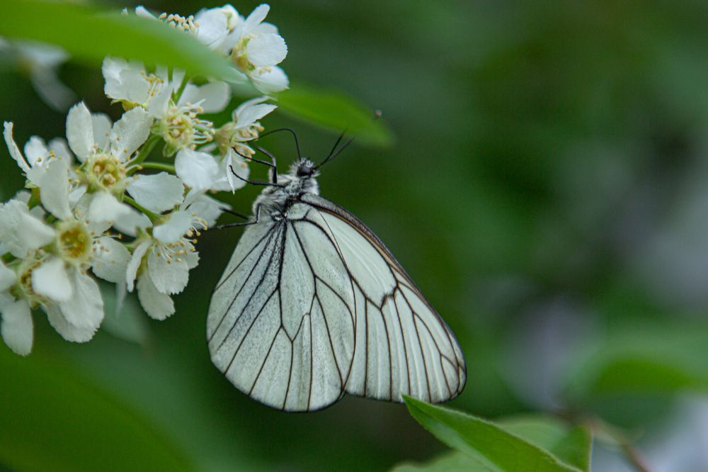 Photograph by Полина Осипова
