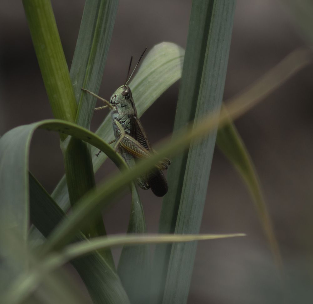 Photograph by Светлана Тарханова