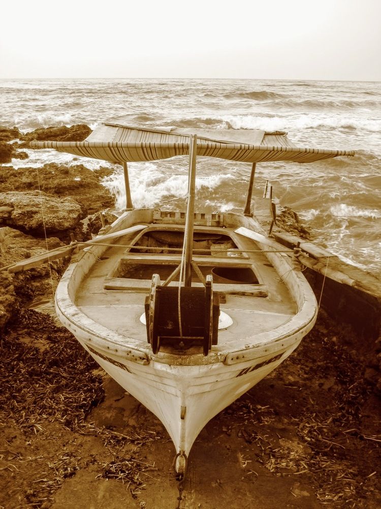 Photograph by Татьяна Мустафина