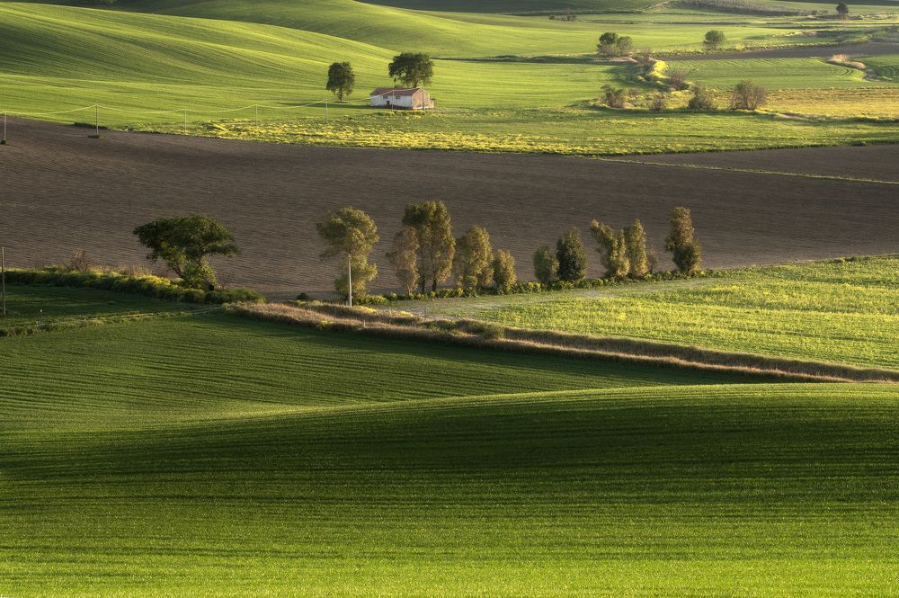 Photograph by giuseppe perrotta