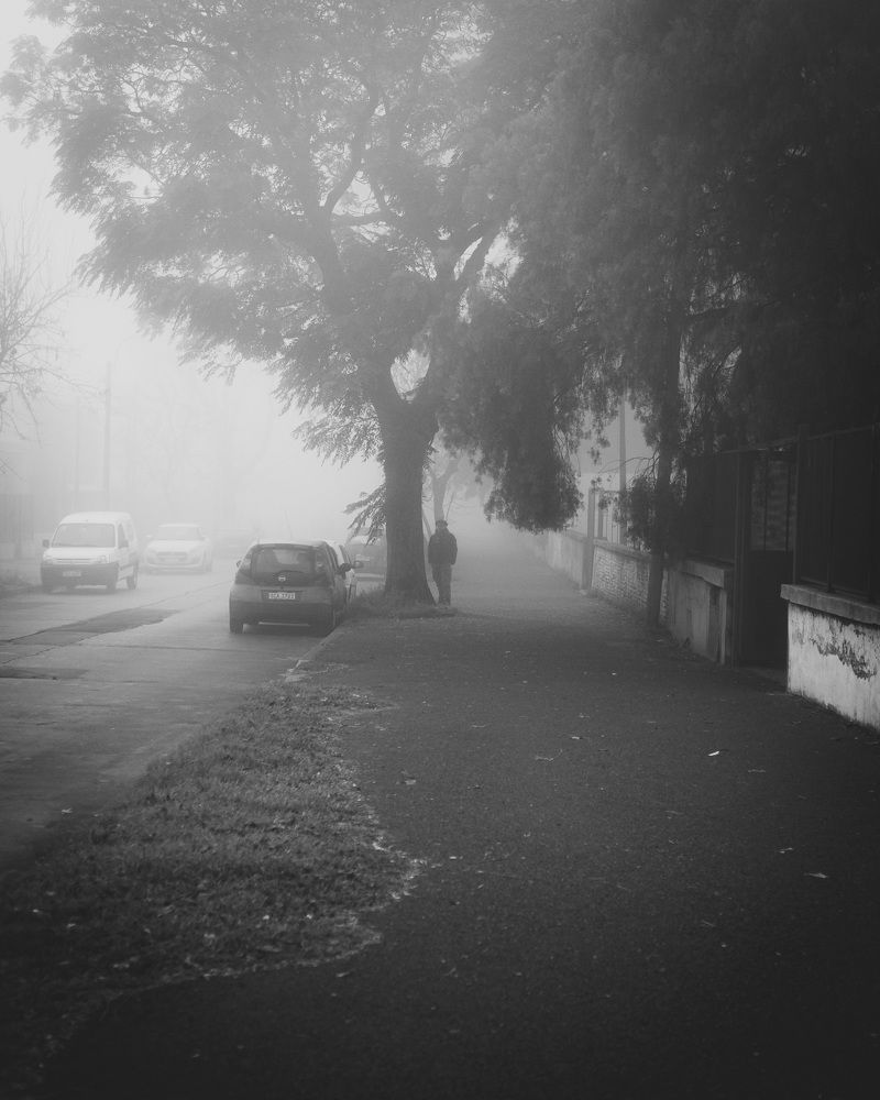 Photograph by Mónica Rumbo