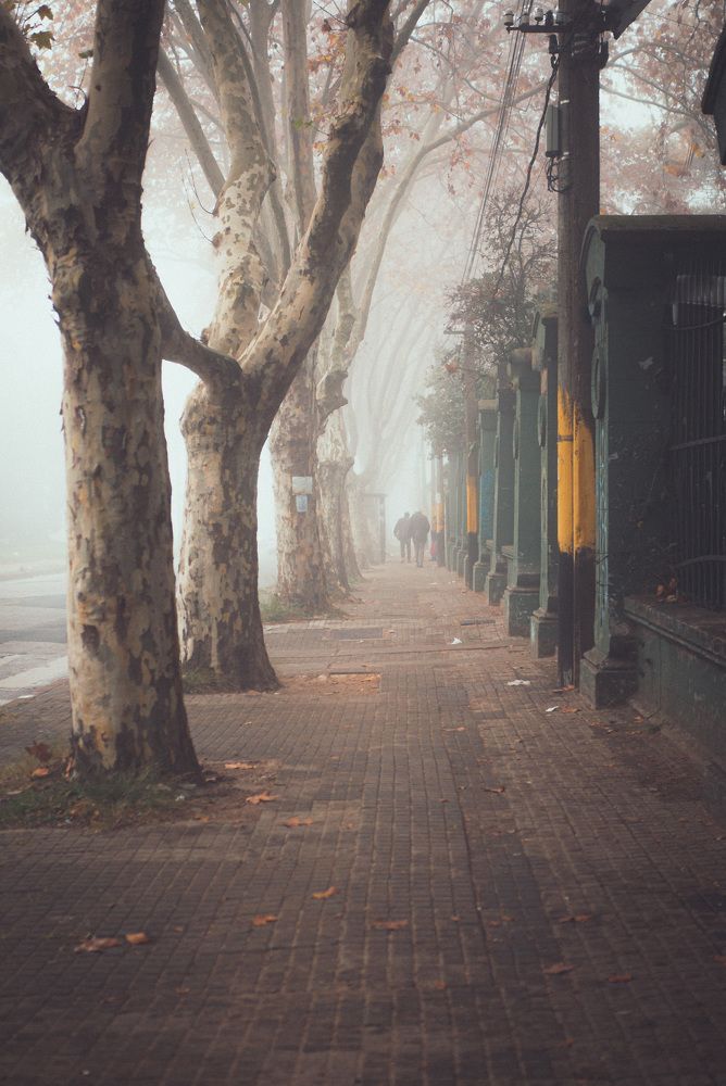 Photograph by Mónica Rumbo