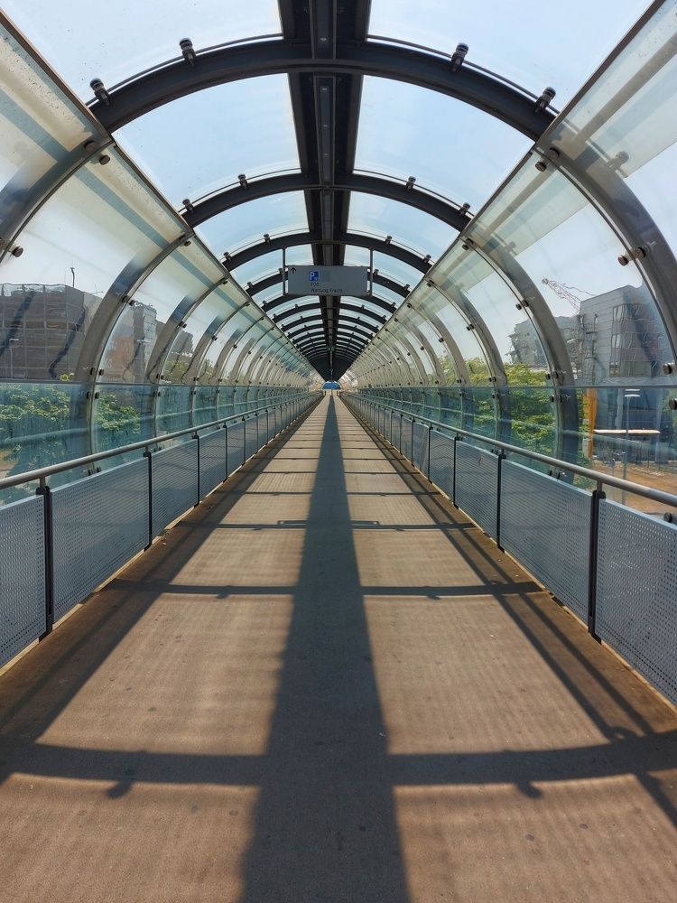 Фотография автора ANNA ILICHEVA