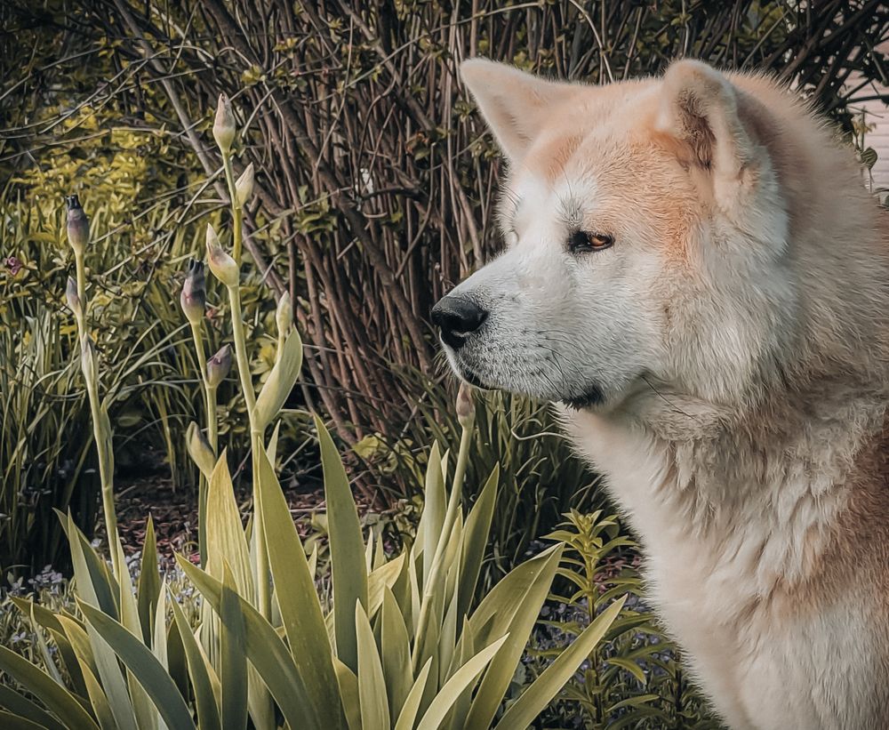 Photograph by Алексей Горин