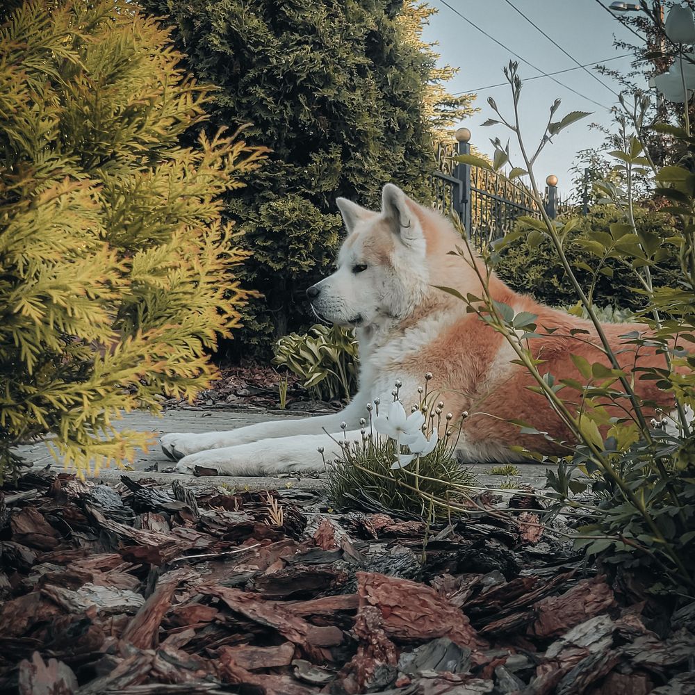 Photograph by Алексей Горин