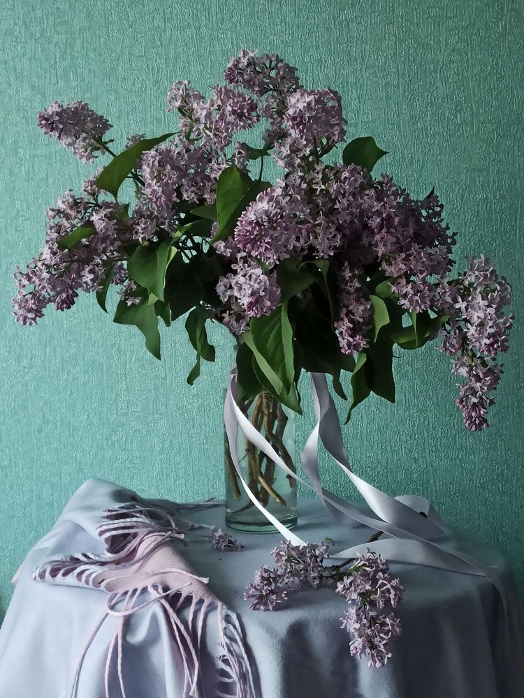 Время сирени